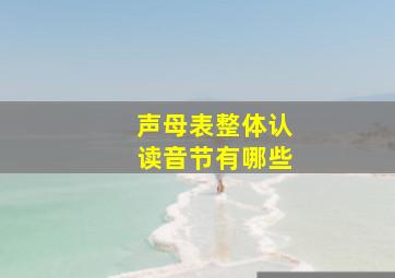 声母表整体认读音节有哪些