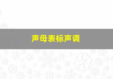 声母表标声调