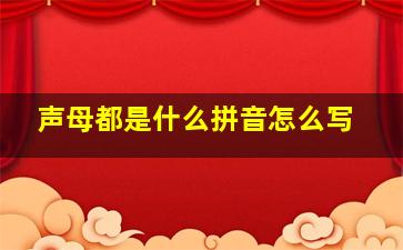 声母都是什么拼音怎么写