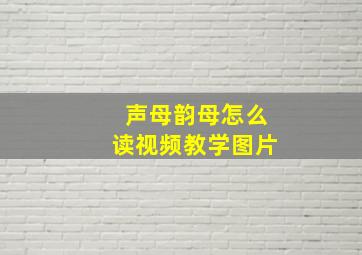 声母韵母怎么读视频教学图片