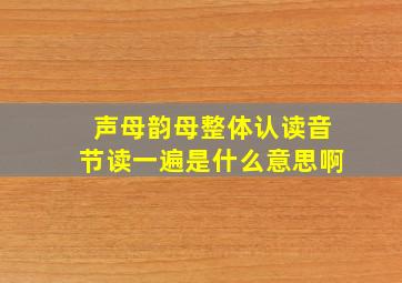 声母韵母整体认读音节读一遍是什么意思啊