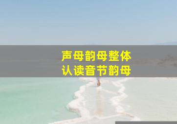 声母韵母整体认读音节韵母