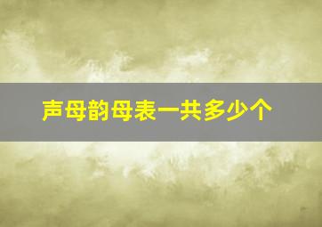 声母韵母表一共多少个