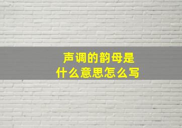 声调的韵母是什么意思怎么写