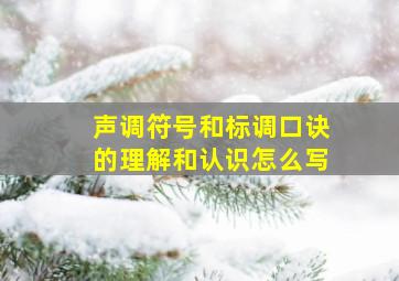 声调符号和标调口诀的理解和认识怎么写