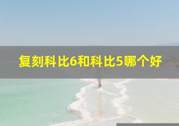 复刻科比6和科比5哪个好