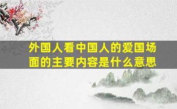 外国人看中国人的爱国场面的主要内容是什么意思