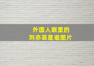 外国人眼里的刘亦菲是谁图片