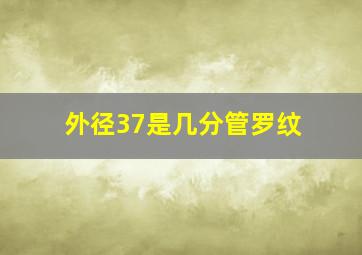 外径37是几分管罗纹