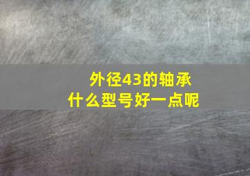 外径43的轴承什么型号好一点呢