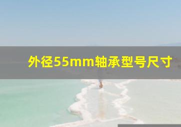 外径55mm轴承型号尺寸