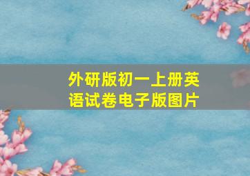 外研版初一上册英语试卷电子版图片