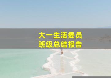 大一生活委员班级总结报告