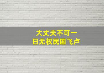 大丈夫不可一日无权民国飞卢