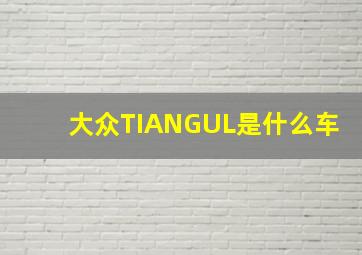 大众TIANGUL是什么车