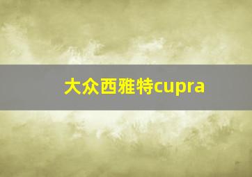 大众西雅特cupra