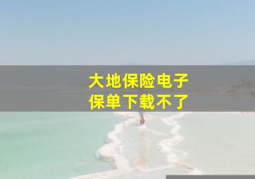 大地保险电子保单下载不了