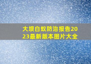 大坝白蚁防治报告2023最新版本图片大全