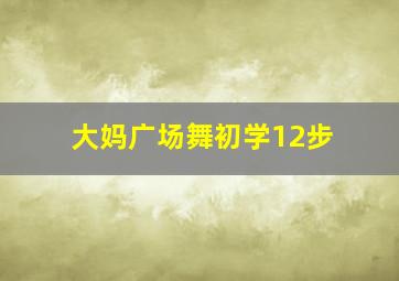 大妈广场舞初学12步