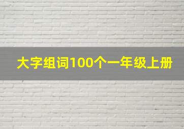 大字组词100个一年级上册