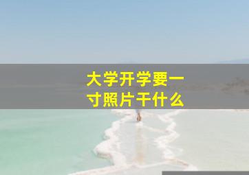 大学开学要一寸照片干什么