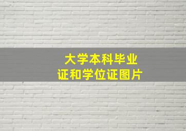 大学本科毕业证和学位证图片