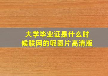 大学毕业证是什么时候联网的呢图片高清版