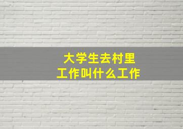 大学生去村里工作叫什么工作