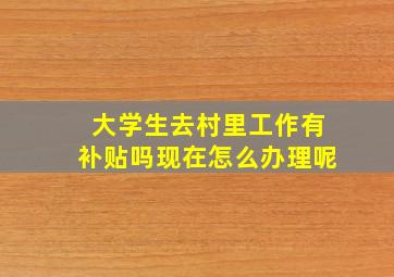 大学生去村里工作有补贴吗现在怎么办理呢