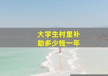 大学生村里补助多少钱一年