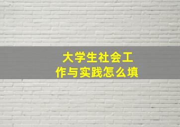 大学生社会工作与实践怎么填