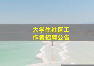 大学生社区工作者招聘公告