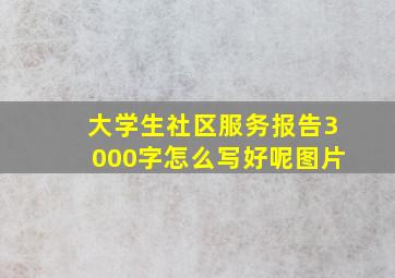 大学生社区服务报告3000字怎么写好呢图片