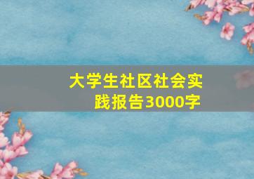 大学生社区社会实践报告3000字