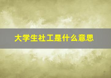 大学生社工是什么意思