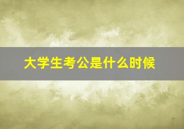 大学生考公是什么时候