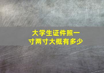 大学生证件照一寸两寸大概有多少