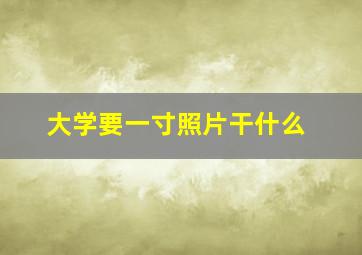 大学要一寸照片干什么