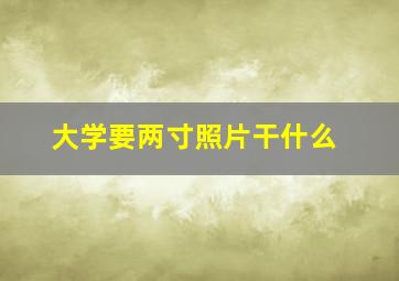 大学要两寸照片干什么