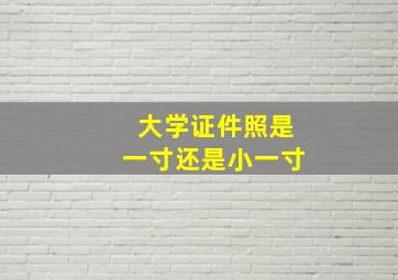 大学证件照是一寸还是小一寸