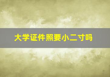 大学证件照要小二寸吗