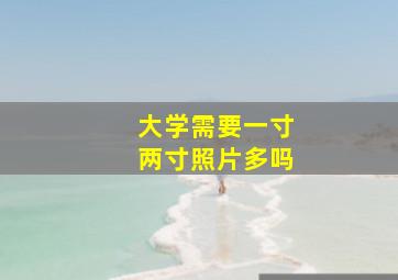 大学需要一寸两寸照片多吗