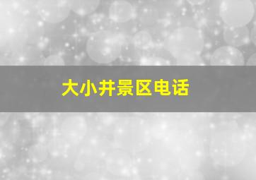 大小井景区电话