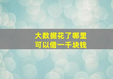 大数据花了哪里可以借一千块钱