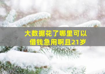 大数据花了哪里可以借钱急用啊且21岁