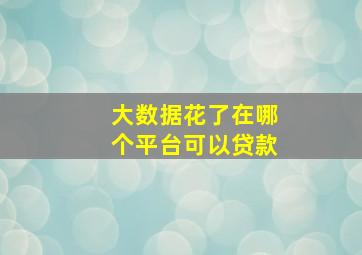 大数据花了在哪个平台可以贷款