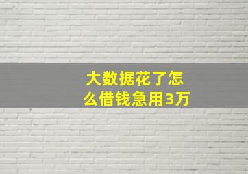 大数据花了怎么借钱急用3万