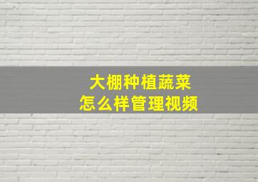 大棚种植蔬菜怎么样管理视频