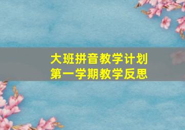 大班拼音教学计划第一学期教学反思