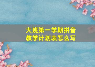 大班第一学期拼音教学计划表怎么写